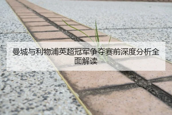 曼城与利物浦英超冠军争夺赛前深度分析全面解读